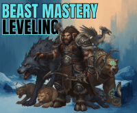 Hunter Leveling Beast Mastery