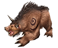 Bear Form Druid Shapeshift