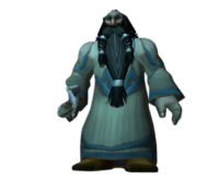 dwarf priest leveling